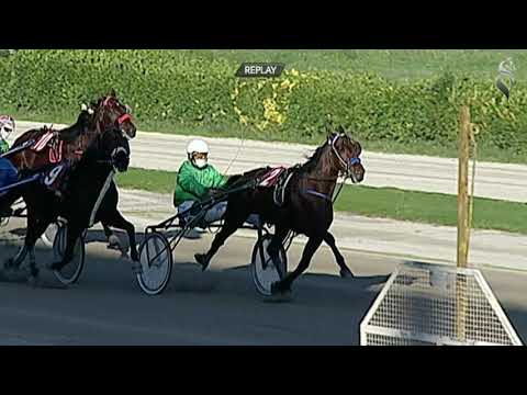 Aversa trotto 18 Novembre 2020 - 2° Corsa