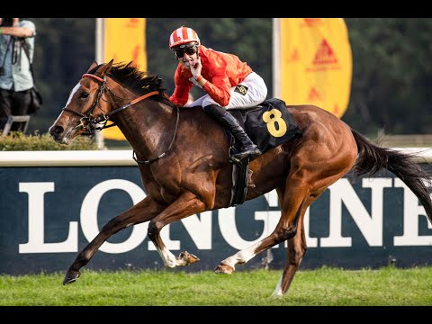 Berlin-Hoppegarten - 3.10.2020: 30. Preis der Deutschen Einheit (Gr. III)  - Siegerin: Tabera