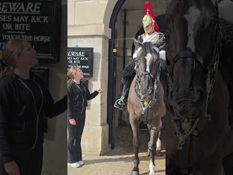 ORMONDE. CAN I PUT MONEY IN THE BOOT #kingsguard
