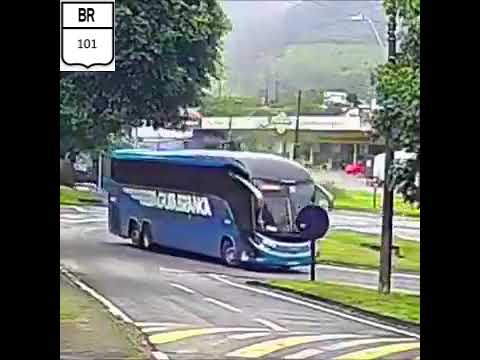 Queda de árvore após o ônibus passar no local em João Neiva ES.