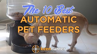 Automatic Pet Feeder: Top 10 Best Automatic Pet Feeders Vide