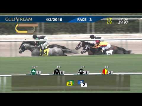 Gulfstream Park Race 3 | April 3, 2016