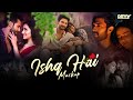 Ishq Hai Mashup Mismatched Arijit Singh Jasleen Royal Vishal Mishra 2025 BERRY MUSIC