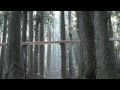 森の木琴 