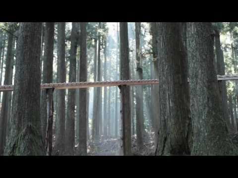 森の木琴