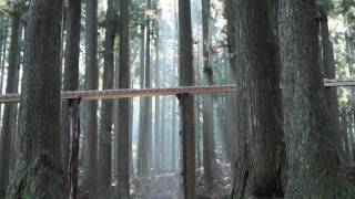 森林木琴