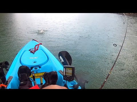 Hills creek reservoir TROUT slam