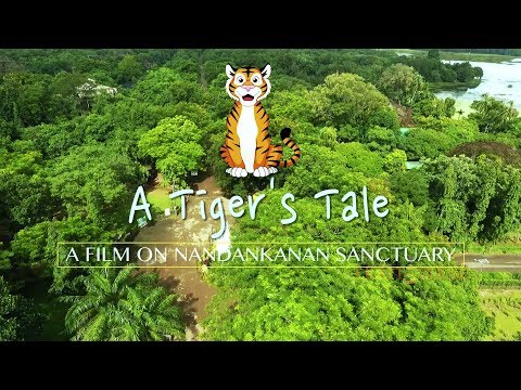 A Tiger's Tale