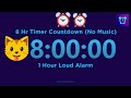 8 Hour Timer Countdown (No Music) + 1 Hour Loud Alarm