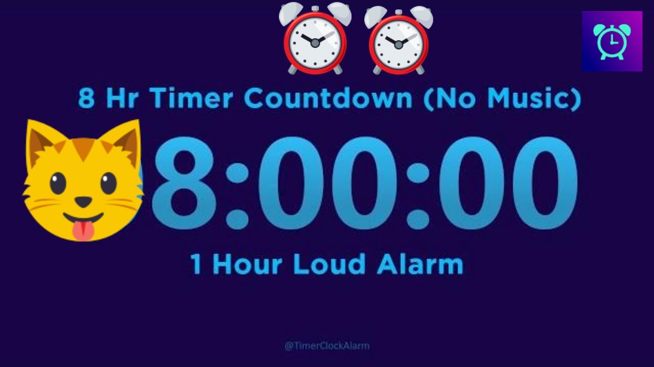 8 Hours Timer Countdown (No Music) + 1 Hour Loud Alarm