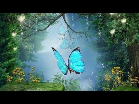 Relaxing Music for STRESS Relief Calm Music for Meditation ||Sleep ||Relax Healing ||Therapy Spa