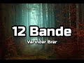 Varinder Brar 12 Bande Lyrics