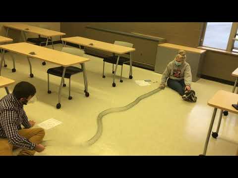 Slinky Lab: Frequency and Wavelength