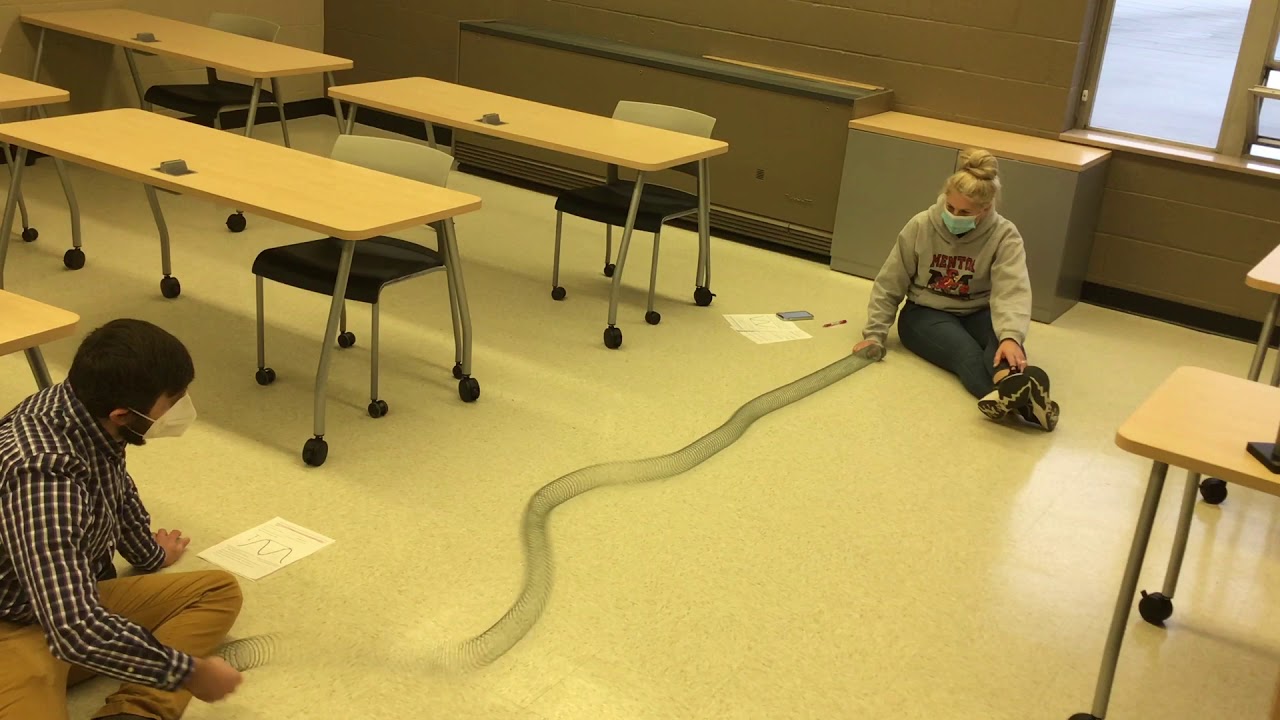 Slinky Lab: Frequency and Wavelength