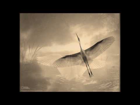 Dalia Kubiliūtė - Give me the hand (Duok man ranka). Music by Jurgis Juozapaitis