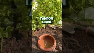 Download lagu Ancient watering system ‼️ How to make self watering from a jug mp3