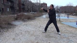 Free Shaolin Kungfu Tutorials: Shaolin 13 Claws Form - Snake 少林十三爪 之 蛇弯 - 02