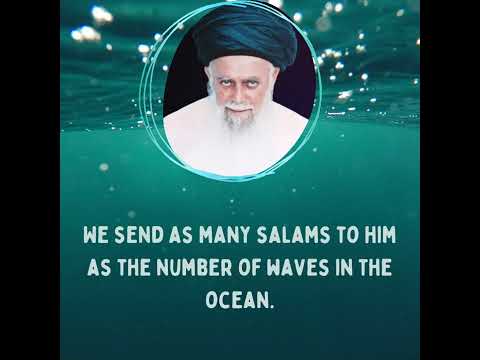 Shaykh Nazim (Q) Quotes