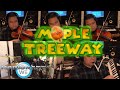 Mario Kart Wii Maple Treeway Cover