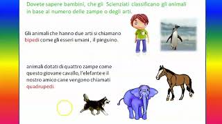 Scienze: gli animali