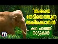 അമ്മയെ തേടി യെത്തുന്ന അരിക്കൊമ്പൻ അവ