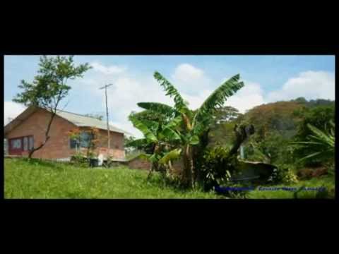 QUERERTE YA NO PUEDO - Lucho Bowen