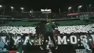 Download lagu Selamat ulang tahun Persebaya Ke 92 Tahun, #bonek #92tahunPersebaya mp3