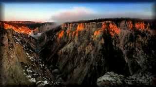 Micheal Hoppe' ~ Shadow's Fall