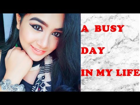 A Busy Day in My Life || Hindi vlog || Nilanjana Vlogs