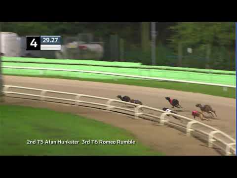 2020 BGBF STAKES - HEAT 2 - T4 QUEEN DOLLY