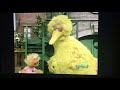 Big Bird And Zoe Greeting The Viewer