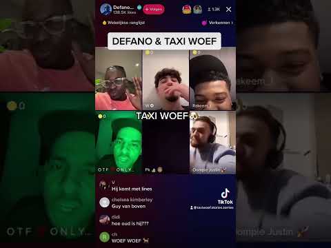 DEFANO DOLFIJN 🐬 KRIJGT BIJLES VAN TAXI WOEF 🐶