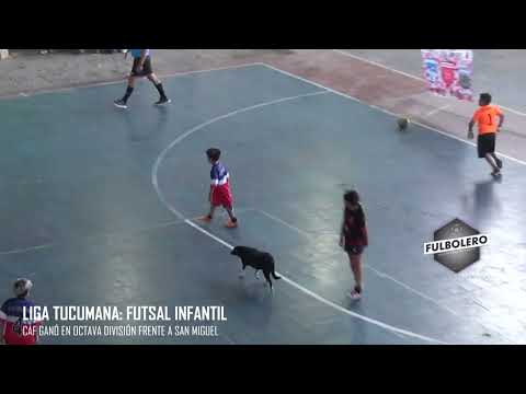 LIGA TUCUMANA (FUTSAL INFANTIL): CAF B logró un buen triunfo en Octava División