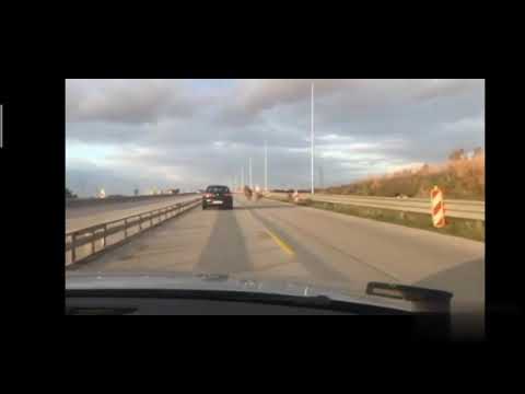 Konie biegły na autostradzie A1 w okolicach miejscowości Kamieńsk koło Radomska 🐎🛣️