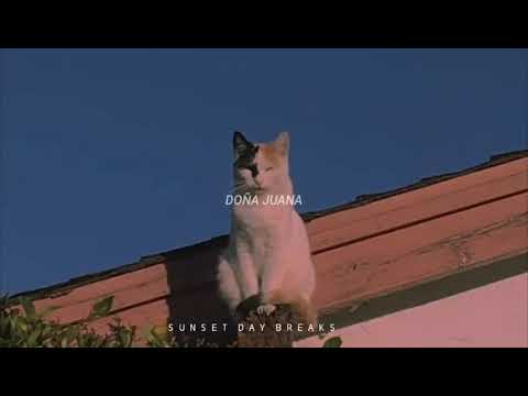 Rap de Doña Juana - Letra