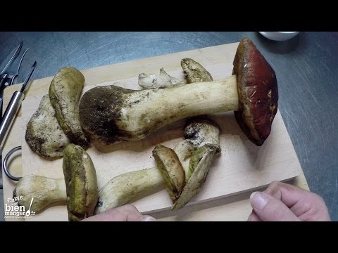 Tour de main : préparation des cèpes - Envie de Bien Manger