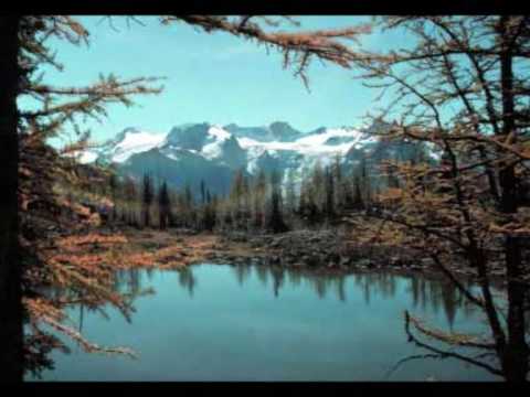 Daniel Hogan - Clarinet Concerto No.1 - Allegretto