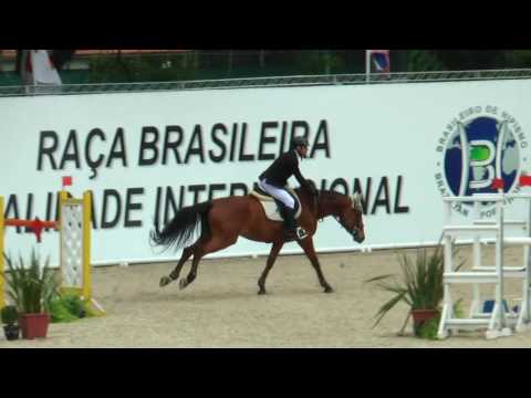 Henrique Rocha Lobo e TOP TEAM Queelin - FOR SALE