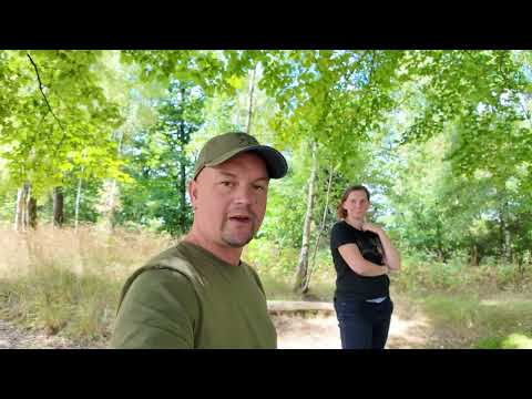 Harz Hiking Badge Stamp 164 Stepmother