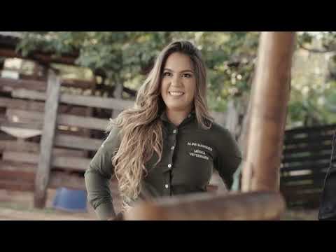 Ensaio | Medicina Veterinária UFMS