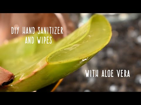 DIY手指消毒液とおしりふき｜超簡単な方法｜コロナウイルス対策 (DIY Hand Sanitizer and Wipes | Super Easy Method | Fight Coronavirus)