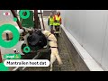 Kinderen spelen verstoppertje met honden