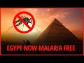 Egypt S MALARIA FREE Status Is Changing Everything