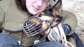 Railway underbridge walk with dog.