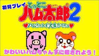 【GB】とっとこハム太郎2　ハムちゃんず大集合でちゅ！初見プレイで遊ぶぞ！