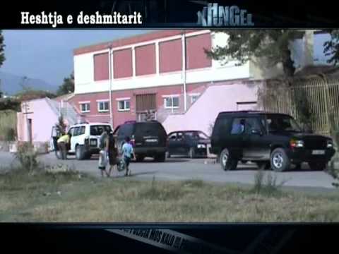 Xhungel Heshtja e deshmitarit