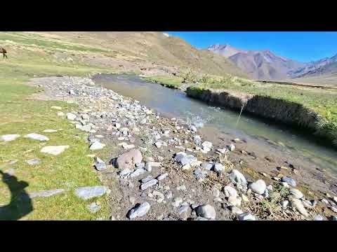 Pesca con mosca rio salado Malargüe mendoza 