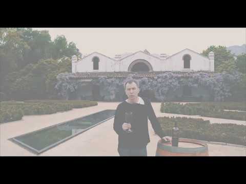 Errazuriz Don Maximiano Founders Reserve 2016