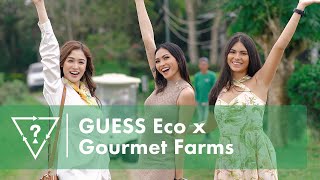  Eco x Gourmet Farms | Philippines