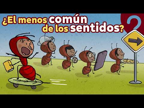 ¿Qué tan común es el sentido común?